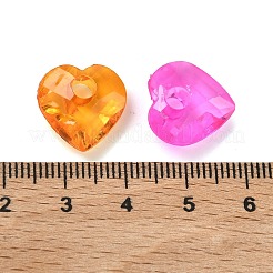 Transparent Acrylic Pendants&nbsp;OACR-Z037-11