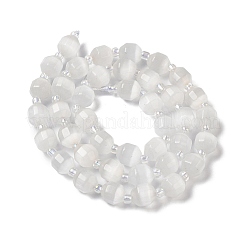 White Cat Eye Beads Strands&nbsp;G-Q169-F10-01