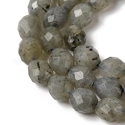 Natural Labradorite Beads Strands&nbsp;G-K376-F07-01