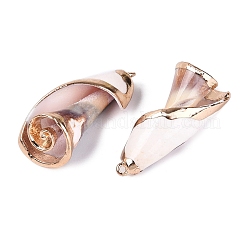Electroplated Golden Brass Trim Natural Spiral Shell Pendants&nbsp;SSHEL-Q101-06