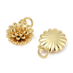Brass Charms&nbsp;KK-S527-12G