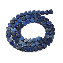 Dyed Natural Lapis Lazuli Beads Strands&nbsp;G-M403-A30-02