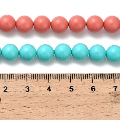 Round Shell Pearl Beads Strands&nbsp;BSHE-XCP0001-82