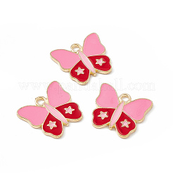 Alloy Enamel Pendants&nbsp;FIND-C019-51KCG