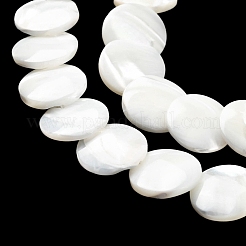 Natural Trochid Shell/Trochus Shell Beads Strands&nbsp;SSHEL-R145-03