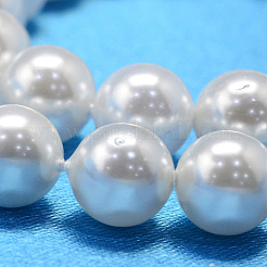 Round Shell Pearl Bead Strands&nbsp;BSHE-L011-10mm-A013