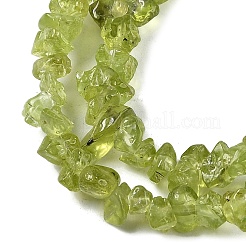 Natural Peridot Beads Strands&nbsp;G-P332-48-01