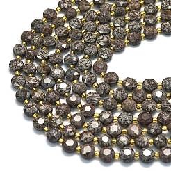 Natural Red Snowflake Obsidian Beads Strands&nbsp;G-C116-A11-02
