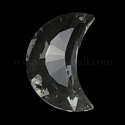 Transparent Glass Big Pendants&nbsp;GLAA-G103-04
