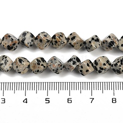 Natural Dalmatian Jasper Beads Strands&nbsp;G-A257-A17-01