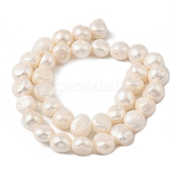 Natural Cultured Freshwater Pearl Beads Strands&nbsp;PEAR-P064-19L-05B