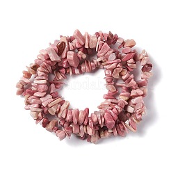 Natural Rhodonite Chip Beads Strands&nbsp;G-G905-01