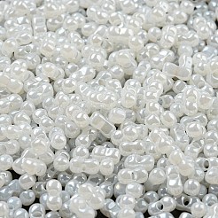 Glass Seed Beads&nbsp;SEED-K009-02B-24
