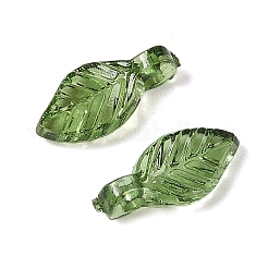 Transparent Acrylic Charms&nbsp;TACR-F009-11D