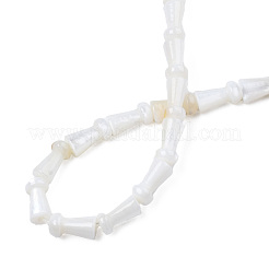 Natural Freshwater Shell Beads Strands&nbsp;SHEL-N026-199