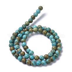 Natural Howlite Beads Strands&nbsp;G-C180-18