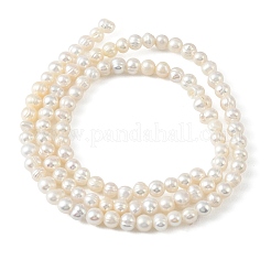 Natural Cultured Freshwater Pearl Beads Strands&nbsp;PEAR-L034-15B