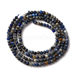 Natural Lapis Lazuli Beads Strands&nbsp;G-L629-B01-2mm-02