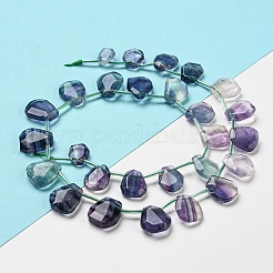 Natural Fluorite Beads Strands&nbsp;G-Z040-A01-01