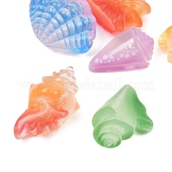 Luminous Resin Shell Shape & Conch Display Decorations&nbsp;RE-CBA17C4-22