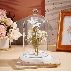 Glass Dome Cover&nbsp;DIY-WH0430-560A