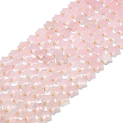 Natural Rose Quartz Beads Strands&nbsp;G-P573-C08-01