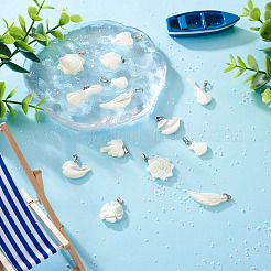 14Pcs 7 Styles Natural Freshwater Shell Pendants&nbsp;SHEL-CD0001-05