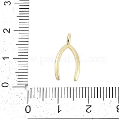 Brass Pendants&nbsp;KK-G522-29G