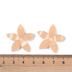 Epoxy Resin Glitter Powder Decoden Cabochons&nbsp;CRES-S367-04