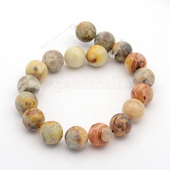 Natural Crazy Lace Agate Round Bead Strands&nbsp;G-M272-03-12mm