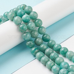 Natural Amazonite Beads Strands&nbsp;X-G-F461-12-6mm-01
