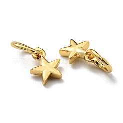 Brass Charms&nbsp;KK-K341-15G