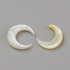 Natural White Shell Mother of Pearl Shell Cabochons&nbsp;SHEL-S267-02B