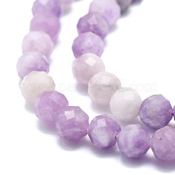 Natural Lepidolite/Purple Mica Stone Beads Strands&nbsp;G-P457-A04-01