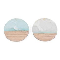 Transparent Resin & Walnut Wood Pendants&nbsp;RESI-T035-25-A02