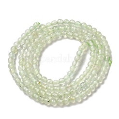 Natural Prehnite Beads Strands&nbsp;G-B090-A19-03