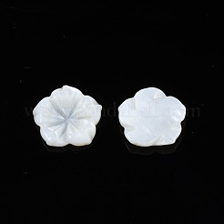 Natural Freshwater Shell Cabochons&nbsp;SHEL-N026-183