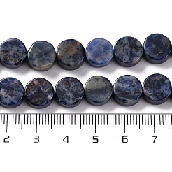 Natural Sodalite Beads Strands&nbsp;G-C159-B10-01