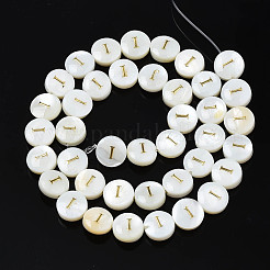 Natural Freshwater Shell Beads&nbsp;SHEL-S276-168I