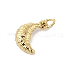 304 Stainless Steel Pendants&nbsp;X-STAS-U044-01F-G