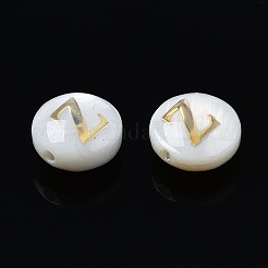 Natural Freshwater Shell Beads&nbsp;X-SHEL-S278-036Z