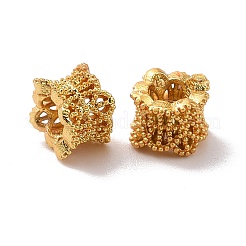 Eco-friendly Brass European Beads&nbsp;X-KK-D079-09G