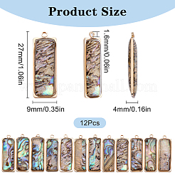 12Pcs Natural Paua Shell Pendants&nbsp;KK-SC0005-37
