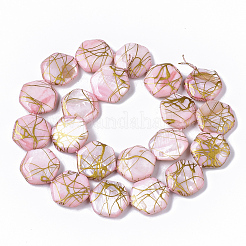 Drawbench Freshwater Shell Beads Strands&nbsp;X-SHEL-T014-013G