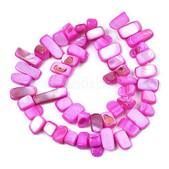 Natural Trochid Shell/Trochus Shell Beads Strands&nbsp;SHEL-S258-082-B07