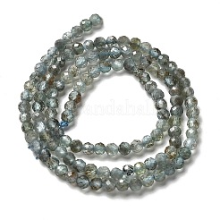 Natural Apatite Beads Strands&nbsp;LS-G-RM2025-A23-3mm