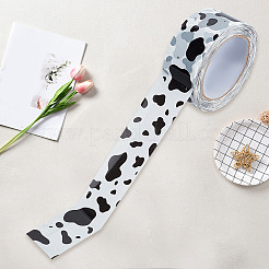 BOPP Film Plastic Scrapbook Decorative Adhesive Tapes&nbsp;PL-WH245B0-01