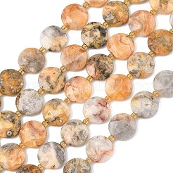 Natural Crazy Agate Beads Strands&nbsp;G-A292-A05-01
