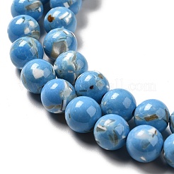 Synthetic Turquoise and Sea Shell Assembled Beads Strands&nbsp;G-D482-01C-04