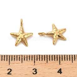 304 Stainless Steel Charms&nbsp;STAS-R151-04G